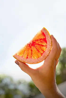 Proporção perfeita, baixa caloria e borbulhas delicadas